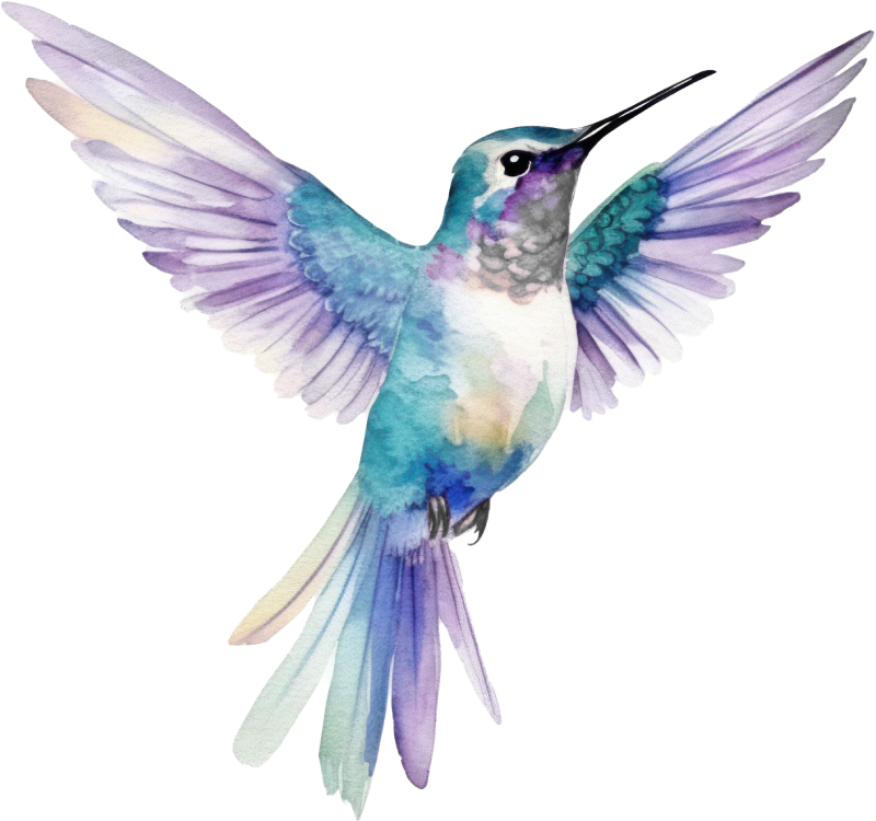 Sensity terapia traumy Anna Gajda